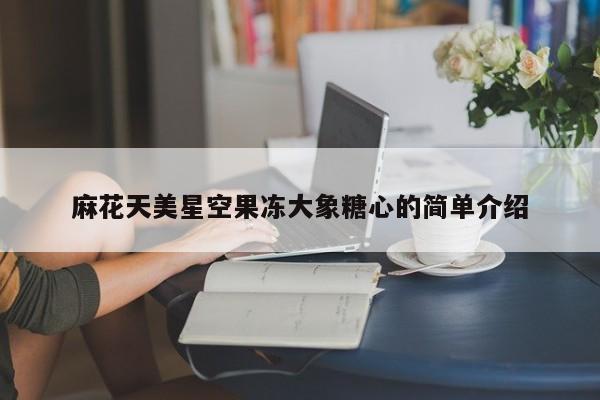 麻花天美星空果冻大象糖心的简单介绍