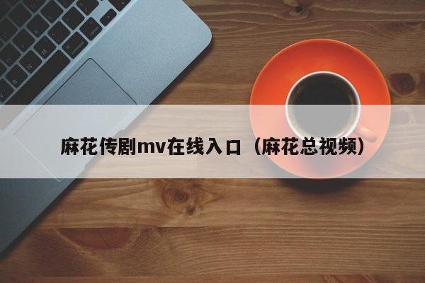 麻花传剧mv在线入口（麻花总视频）
