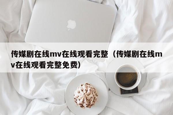 传媒剧在线mv在线观看完整（传媒剧在线mv在线观看完整免费）