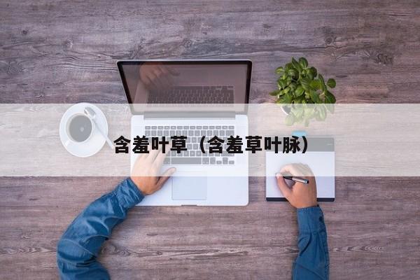 含羞叶草（含羞草叶脉）