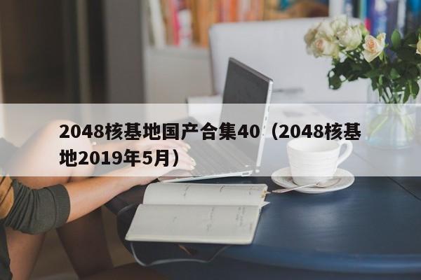 2048核基地国产合集40（2048核基地2019年5月）